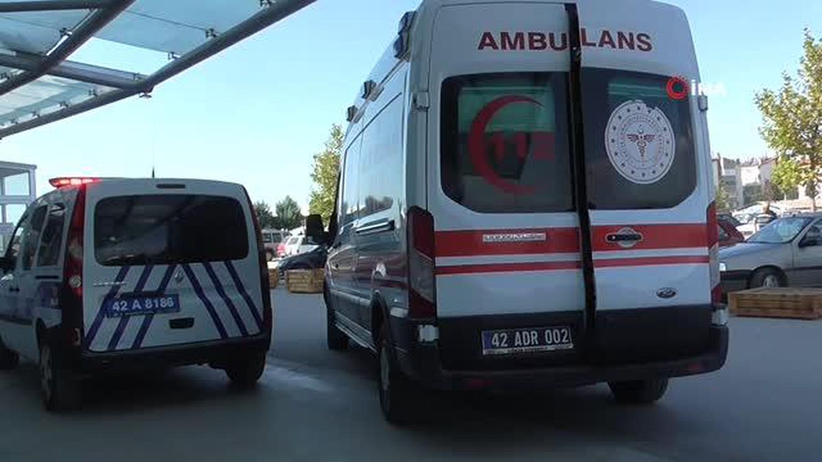 Ceviz toplarken düşen yaşlı adam hayatını kaybetti