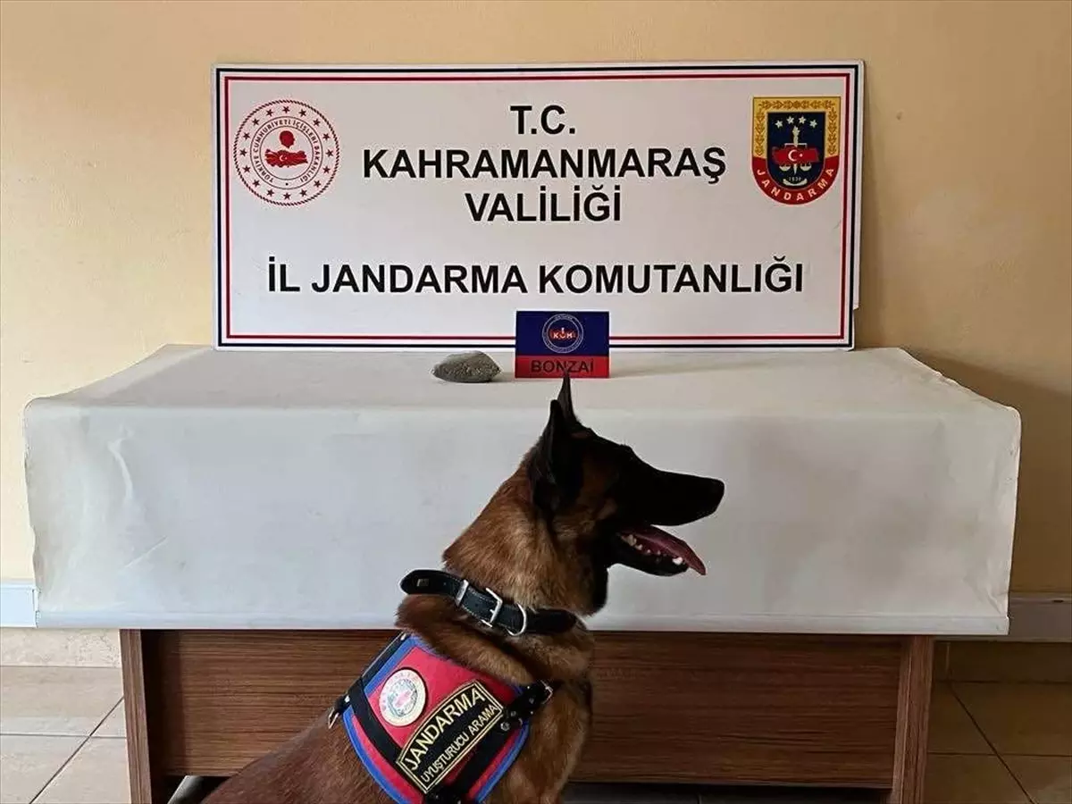 Kahramanmaraş'ta uyuşturucu operasyonunda 3 şüpheli yakalandı