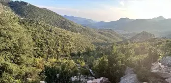 Kahramanmaraş'ta Otomobil Vadiye Yuvarlandı: 1 Ölü, 1 Yaralı