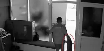 Antalya'da Berberin Kedisine Şiddet Uygulayan Genç Serbest Bırakıldı