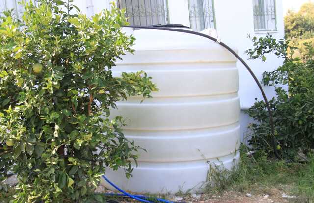 Mersin'de yetiştirilen yeşil limonun kilosu 10 kat daha pahalıya satılıyor Mersin'de yetiştirilen yeşil limonun kilosu 10 kat daha pahalıya satılıyor