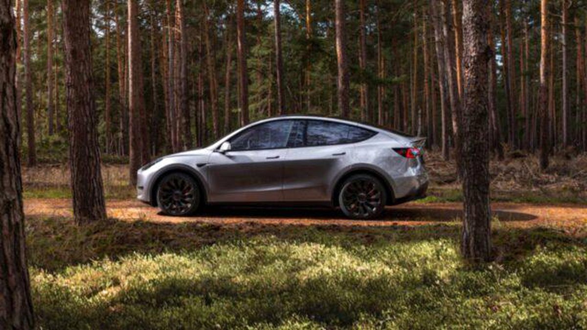 Tesla, Model 3 Plus ve Model Y Plus ile premium renk seçeneği sunuyor