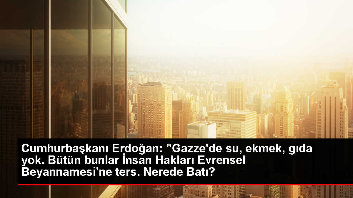 Cumhurbaşkanı Erdoğan Türkiye Gençlik Vakfı Teşkilat Buluşması'na katıldı: (3)