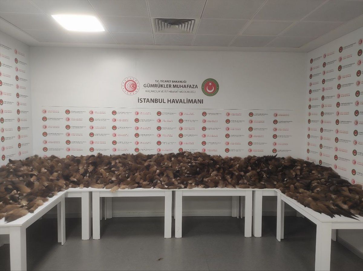 İstanbul Havalimanı'nda 1 Milyon TL Değerinde Tilki Kuyruğu Ele Geçirildi