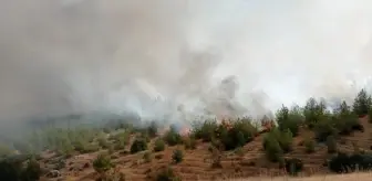 Kahramanmaraş'ta Orman Yangını Kontrol Altına Alındı