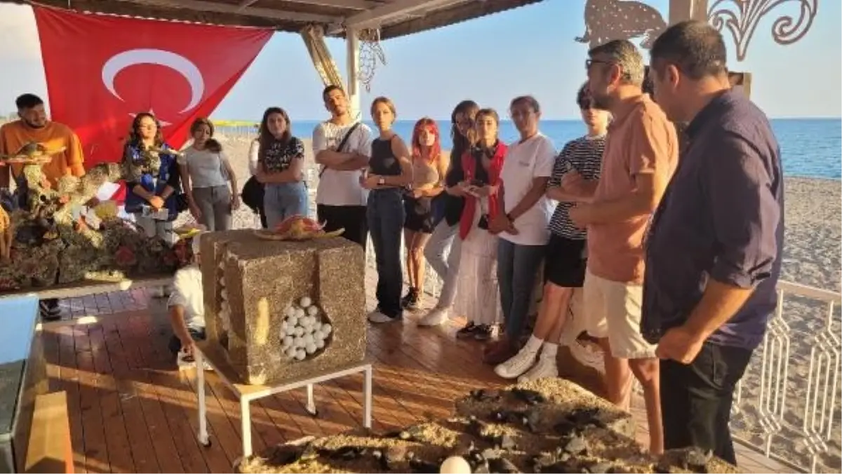 Manavgat'ta 24 Bin Deniz Kaplumbağası Yavrusu Denize Ulaştı