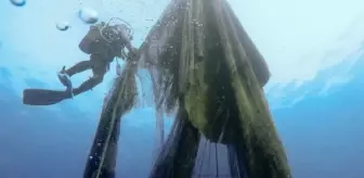 Temizlenen hayalet ağlar ile 2 milyon 750 bin balığın ölümü engellendi