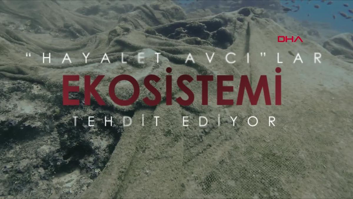 Temizlenen hayalet ağlar ile 2 milyon 750 bin balığın ölümü engellendi -EKİYLE YENİDEN