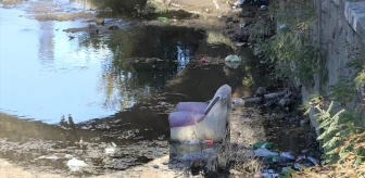 Tunca Nehri'nde Çöp Kirliliği
