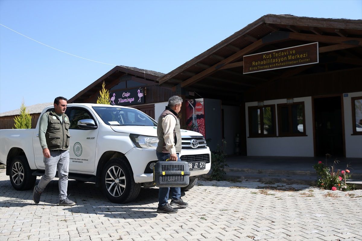 Kayseri'deki Kuş Tedavi Merkezi Yaralı Kuşları Tedavi Edip Doğaya Salıyor