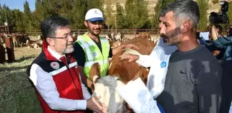 Malatyalı depremzedelere büyükbaş hayvan desteği