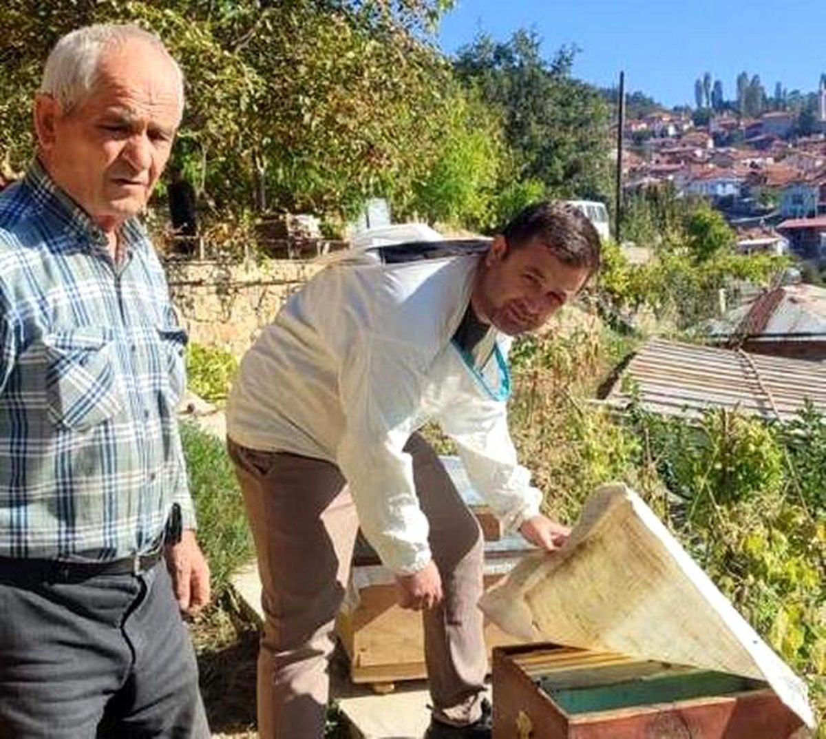 Simav'da arı kovanı sayımı ve destekleme işlemleri