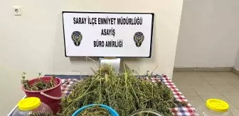 Tekirdağ'da 3 Kilo Kenevir Ele Geçirildi