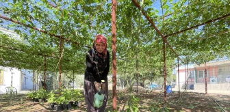 Adana'da Evlerinin Önündeki Alanı Tropikal Meyve Bahçesine Dönüştürdüler