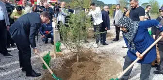 Patlamada şehit olan 43 madenci hatıra ormanında yaşatılacak