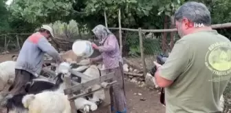 Fotoğraf Sanatçısı Adem Meleke'nin Yörük Yaşamı Sergisi