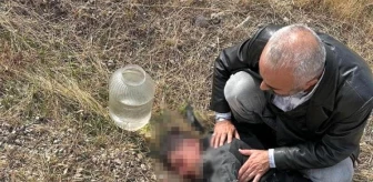 Elazığ'da Otomobil ile Çarpışan Motosikletin Sürücüsü Hayatını Kaybetti