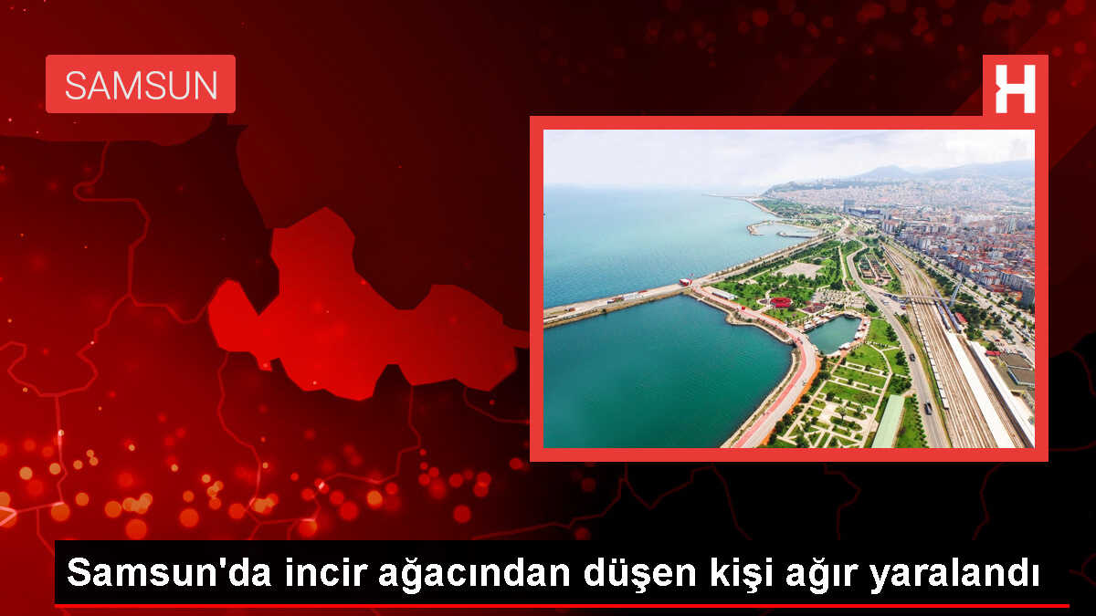 Samsun'da ağaçtan düşen kişi ağır yaralandı