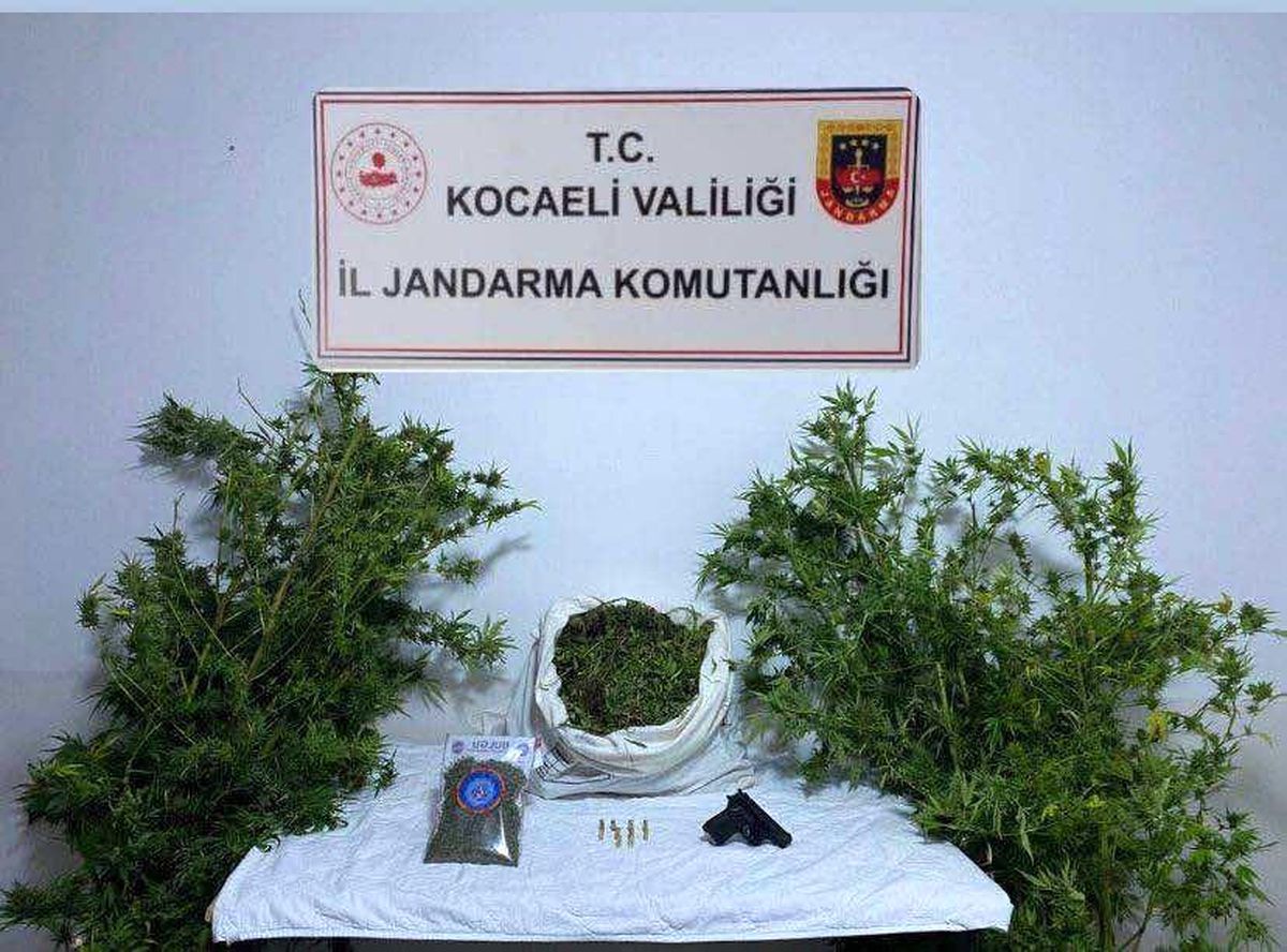 Kandıra'da Uyuşturucu Operasyonu: 1 Tutuklama