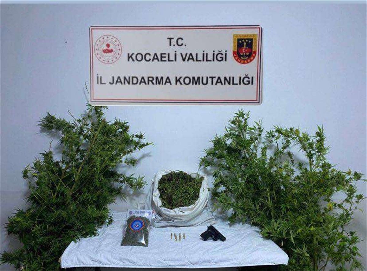 Kandıra'da 4 Kilo Skunk ve 100 Gram Esrar Ele Geçirildi