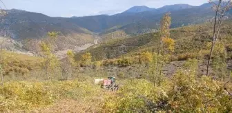 Tokat'ta Ormanda Odun Keserken Vurulan Kişi Hayatını Kaybetti