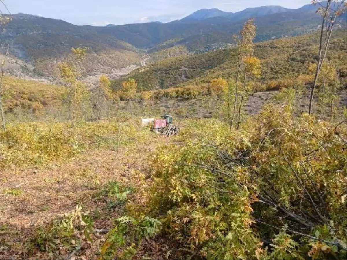 Tokat'ta Ormanda Odun Keserken Vurulan Kişi Hayatını Kaybetti