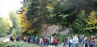 Gümüşhane'deki Örümcek Ormanları'nda doğa yürüyüşü yapıldı