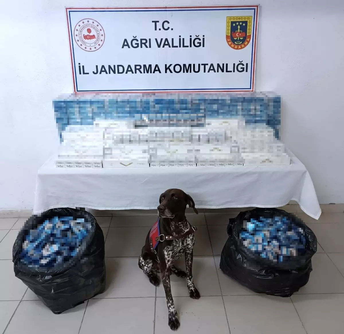 Ağrı'da kaçakçılık operasyonunda 3 tır şoförü gözaltına alındı