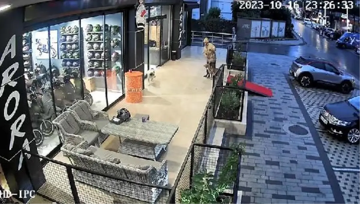 Avcılar'da Pitbull Köpeği Saldırısı: Şüpheli Gözaltına Alındı