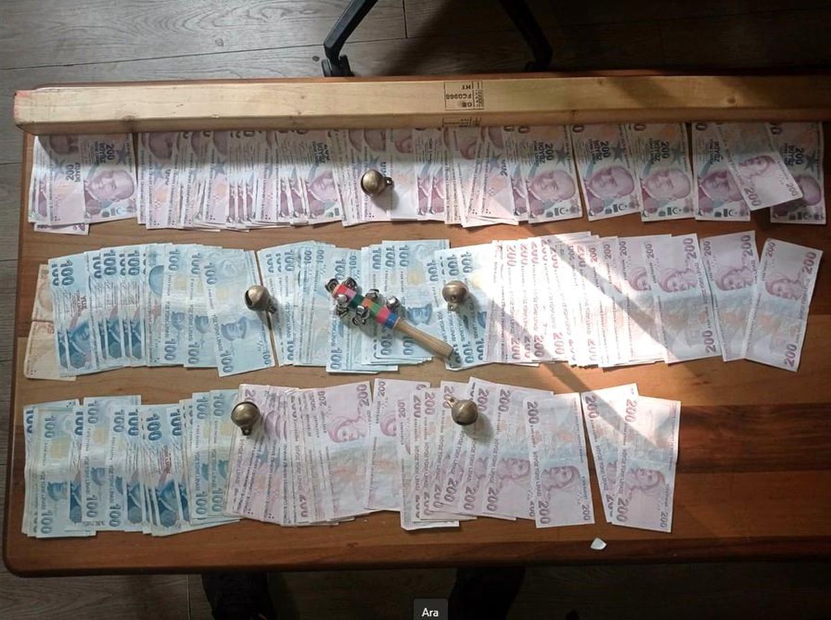 Sarıyer'de Köpek Dövüştürülerek Bahis Oynayanlara Para Cezası