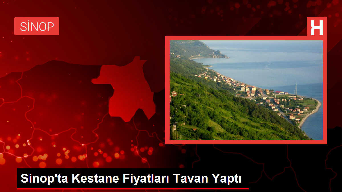 Sinop'ta Kestane Fiyatları Tavan Yaptı