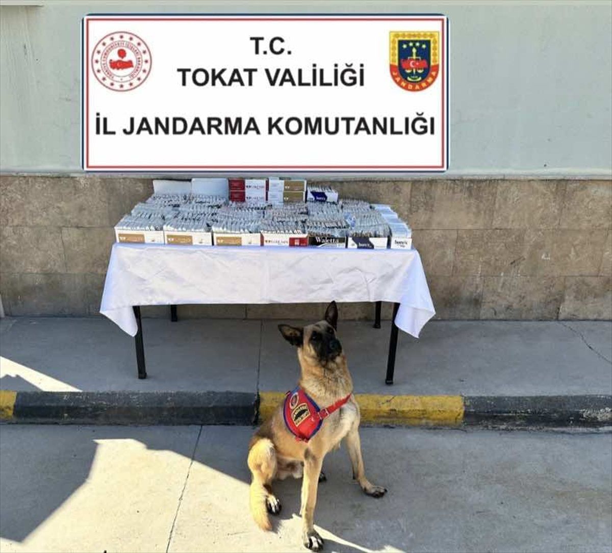 Tokat'ta Silah Ticareti ve Kaçak Alkole Operasyon