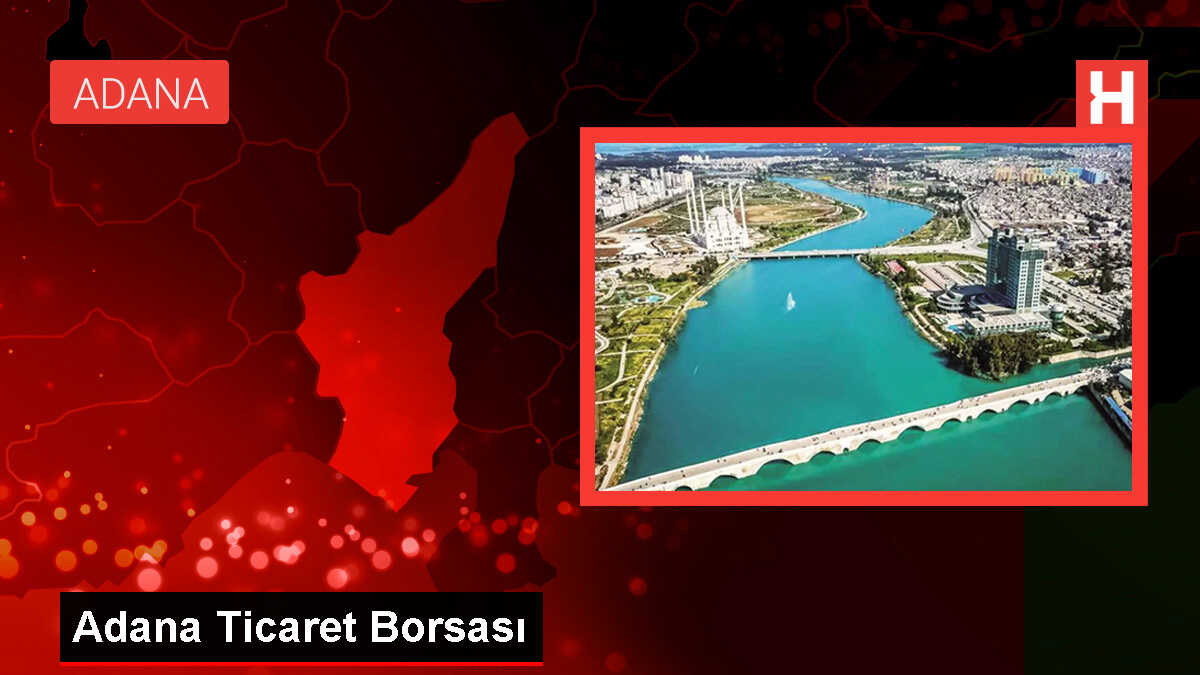 Adana Ticaret Borsası'nda Buğday Fiyatları Yükseldi