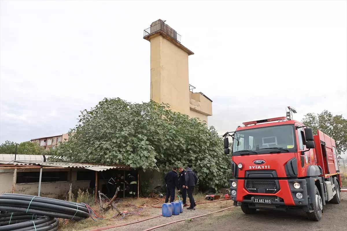 Edirne Tren Garı bahçesinde çıkan yangın söndürüldü