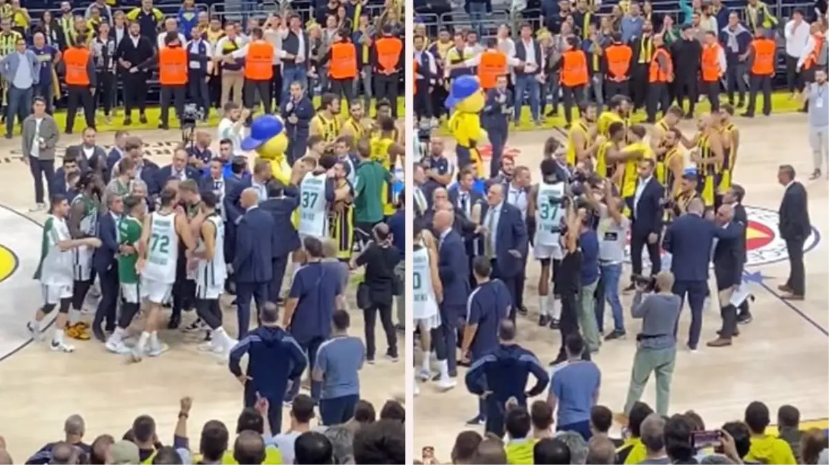 Ortalık bir anda karıştı! Fenerbahçe-Panathinaikos maçında kavga çıktı