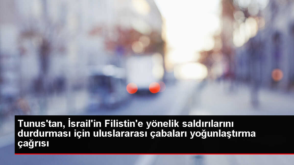 Tunus Dışişleri Bakanı İsrail'in Filistin'e yönelik saldırılarını durdurması için uluslararası çabaların yoğunlaştırılmasını talep etti