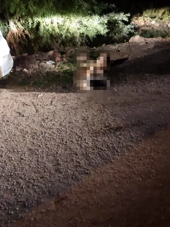 Miras yüzünden yaşlı kadını briket taşıyla öldüren karı-koca, cesedi çuvala sarıp dereye attı