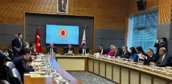'Balıkçı barınaklarının kanuni alt yapısı güçlendirilmeli'