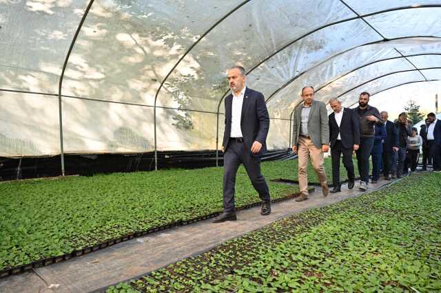 Bursa'nın Çiçekleri Kelesli Çiftçilerin Emeğiyle Açıyor Bursa'nın Çiçekleri Kelesli Çiftçilerin Emeğiyle Açıyor