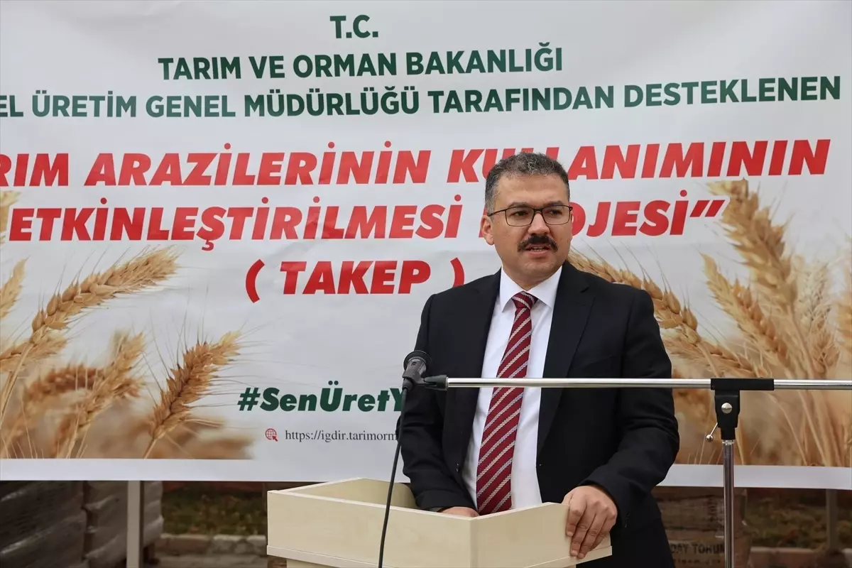 Iğdır'daki çiftçilere 419 ton tohum dağıtıldı