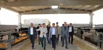 Şanlıurfa Valisi Gıda ve Besi OSB'leri Ziyaret Etti