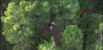 Sultanbeyli'de Uyuşturucu Ticareti Operasyonu: 5 Gözaltı