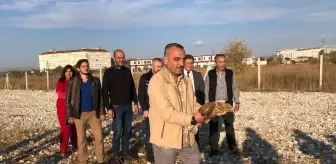 Afyon'da Tedavi Edilen Orman Kartalı ve Şahin Doğaya Salındı