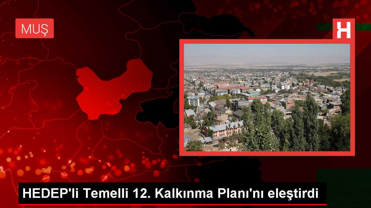 HEDEP Milletvekili Temelli: 12. Kalkınma Planı temennilerden öteye geçmiyor