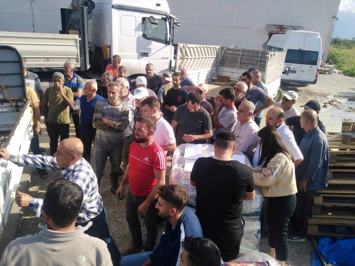 Samandağ ilçesinde depremden etkilenen çiftçilere gübre desteği sağlandı