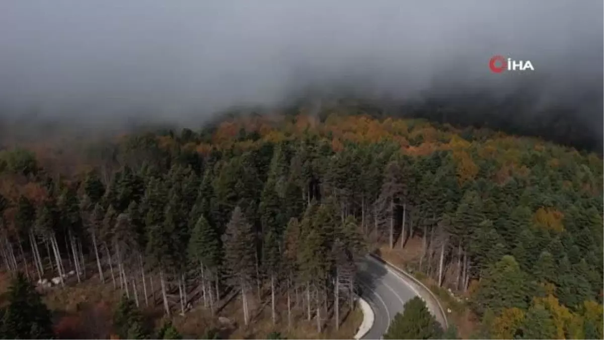 Uludağ'da Sonbahar Şöleni