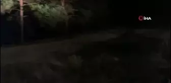Sivas'ta Hafif Ticari Araç Şarampole Uçtu: 3 Yaralı