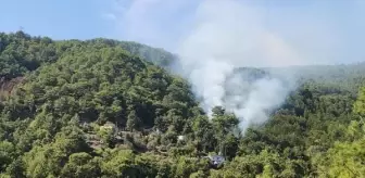 Alanya'da çıkan orman yangını kontrol altına alındı