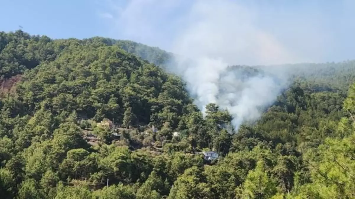 Alanya'da çıkan orman yangını kontrol altına alındı