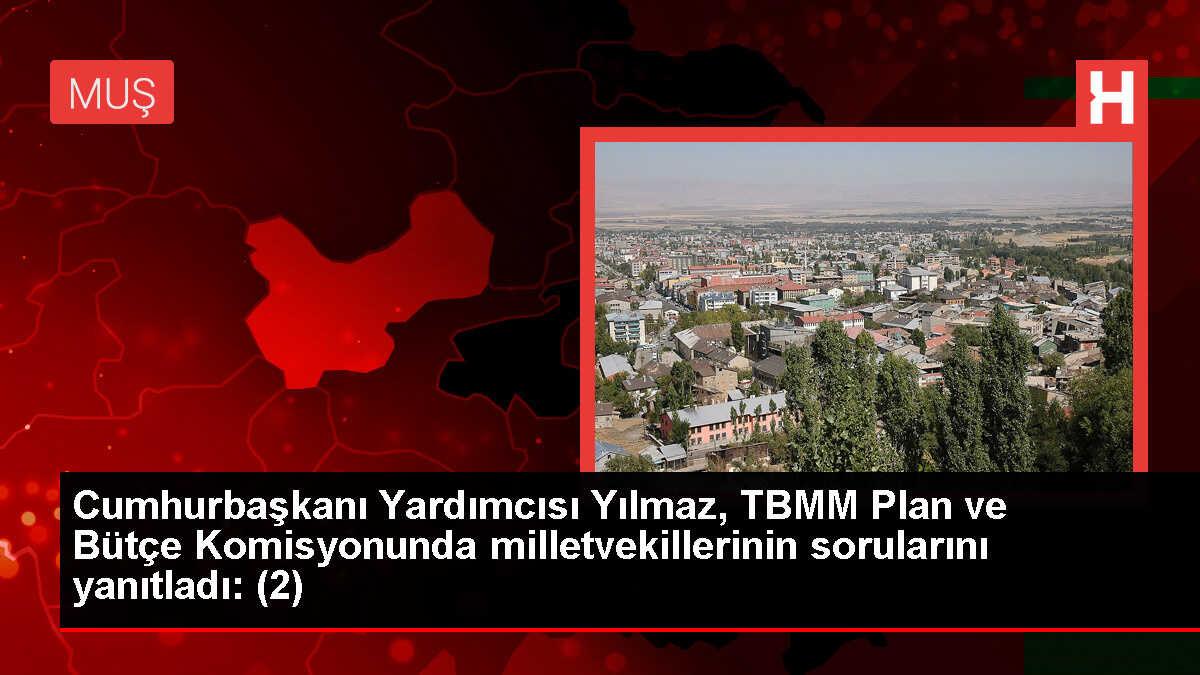 Cumhurbaşkanı Yardımcısı Yılmaz, TBMM Plan ve Bütçe Komisyonunda milletvekillerinin sorularını yanıtladı: (2)